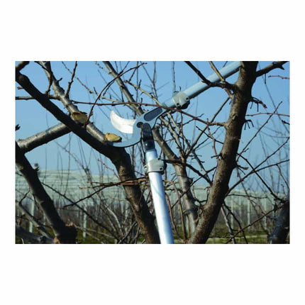 FELCO Elagueur longueur 800 mm ( 4000815669 )