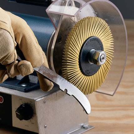 Disque brosse radiale 3M BB-ZB type A Ø150xL12x25,4mm 50 ( 4000841201 )