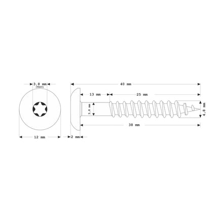 Meisterling Vis de façade 4,8x38 mm - 100 pièces (010020000241) tête plate 12 mm vert foncé + Filetage partiel Torx acier inoxydable V2A