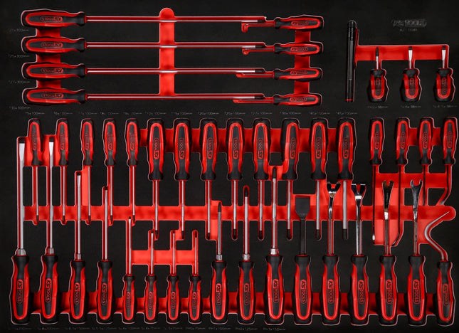 KS TOOLS Jeu de tournevis dans insert en mousse, 46 pcs ( 821.0046 )